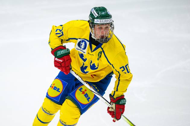 Bosse Meijer